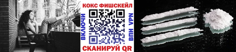 Cocaine Fish Scale  shop официальный сайт  Санкт-Петербург 