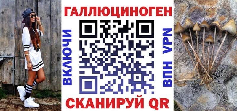 кракен ТОР  Санкт-Петербург  Псилоцибиновые грибы мухоморы 